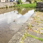 Waters Edge