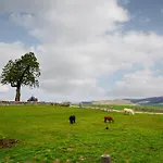 Tom Wragg Suite - Uk40248