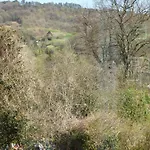 Willoways