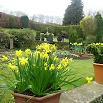 The Garden Room