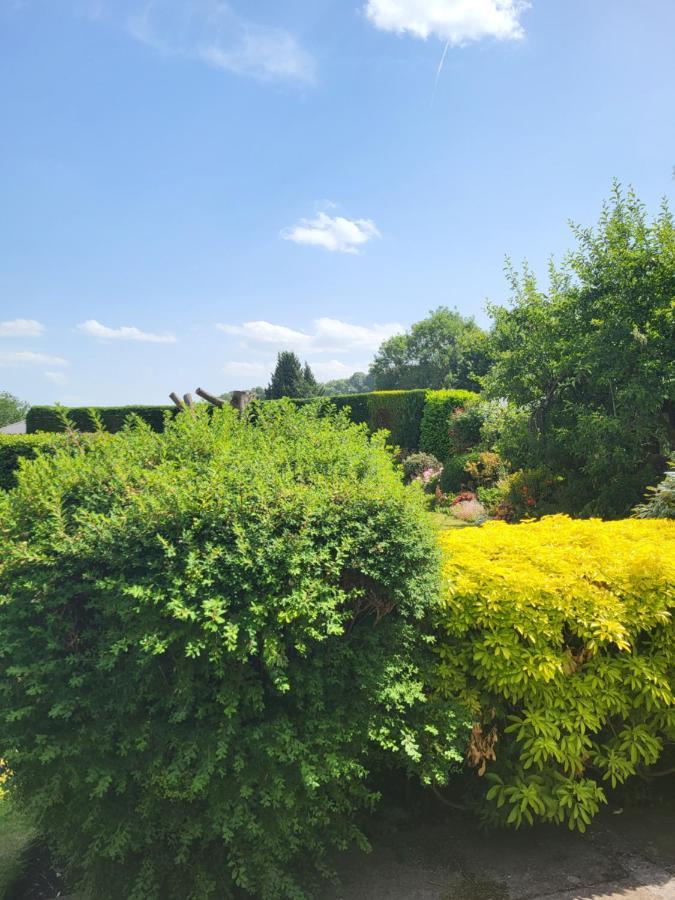 Bed & Breakfast The Garden At Tannery House *