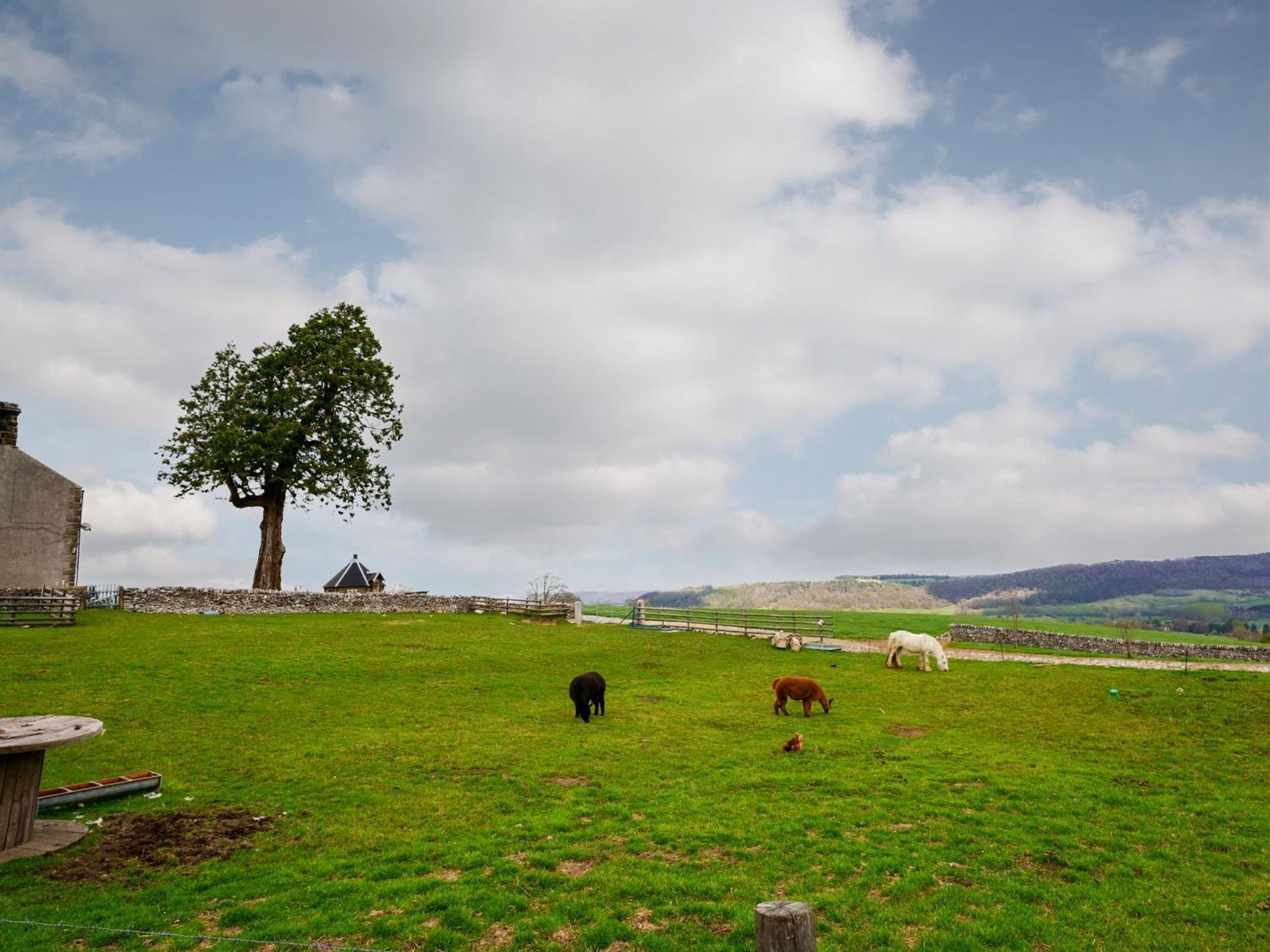 Holiday home Tom Wragg - Uk40248 Bakewell
